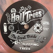 The Great Divide / Sleeping In The Trees